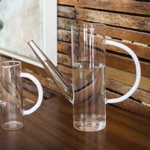 Latitude Run Glass Watering Can Clear Handmade Modern Plant Decor